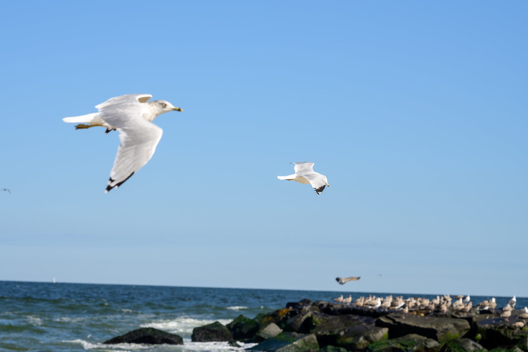 !!_241006_Asbury_Photo_Walk_0439!!
