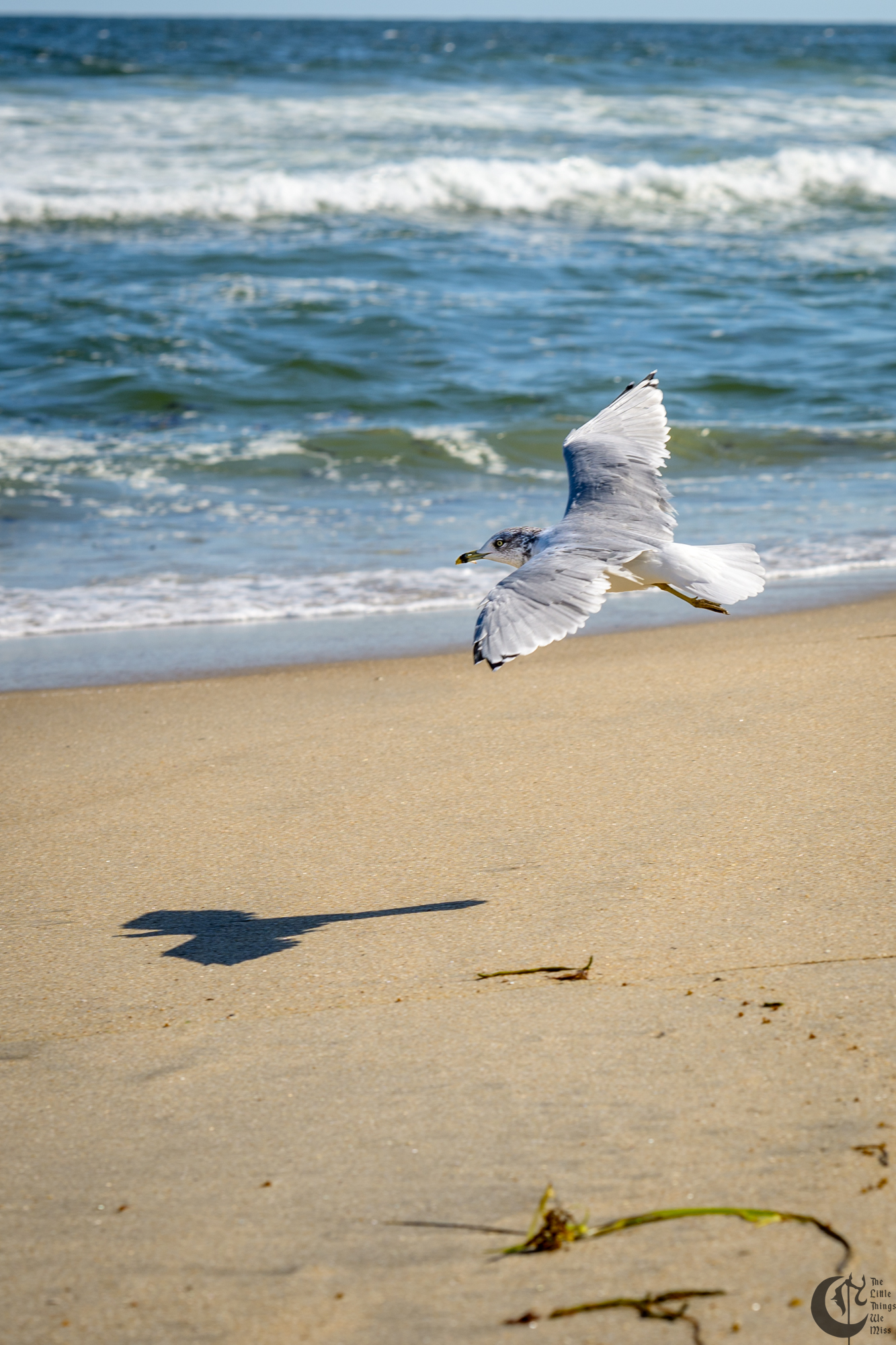 !!_241006_Asbury_Photo_Walk_0501!!