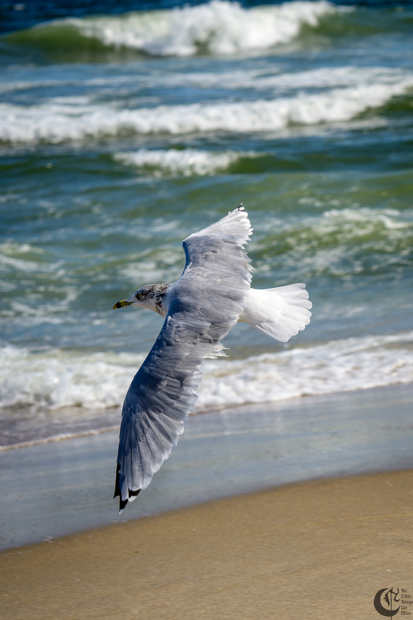 !!_241006_Asbury_Photo_Walk_0505!!