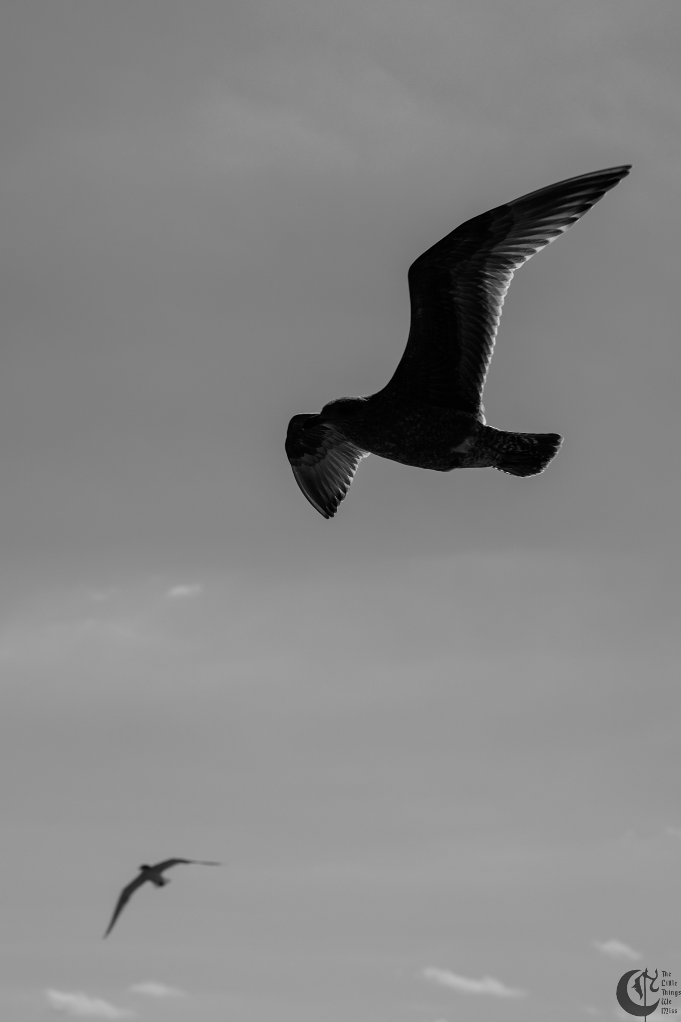 !!_241006_Asbury_Photo_Walk_0527!!