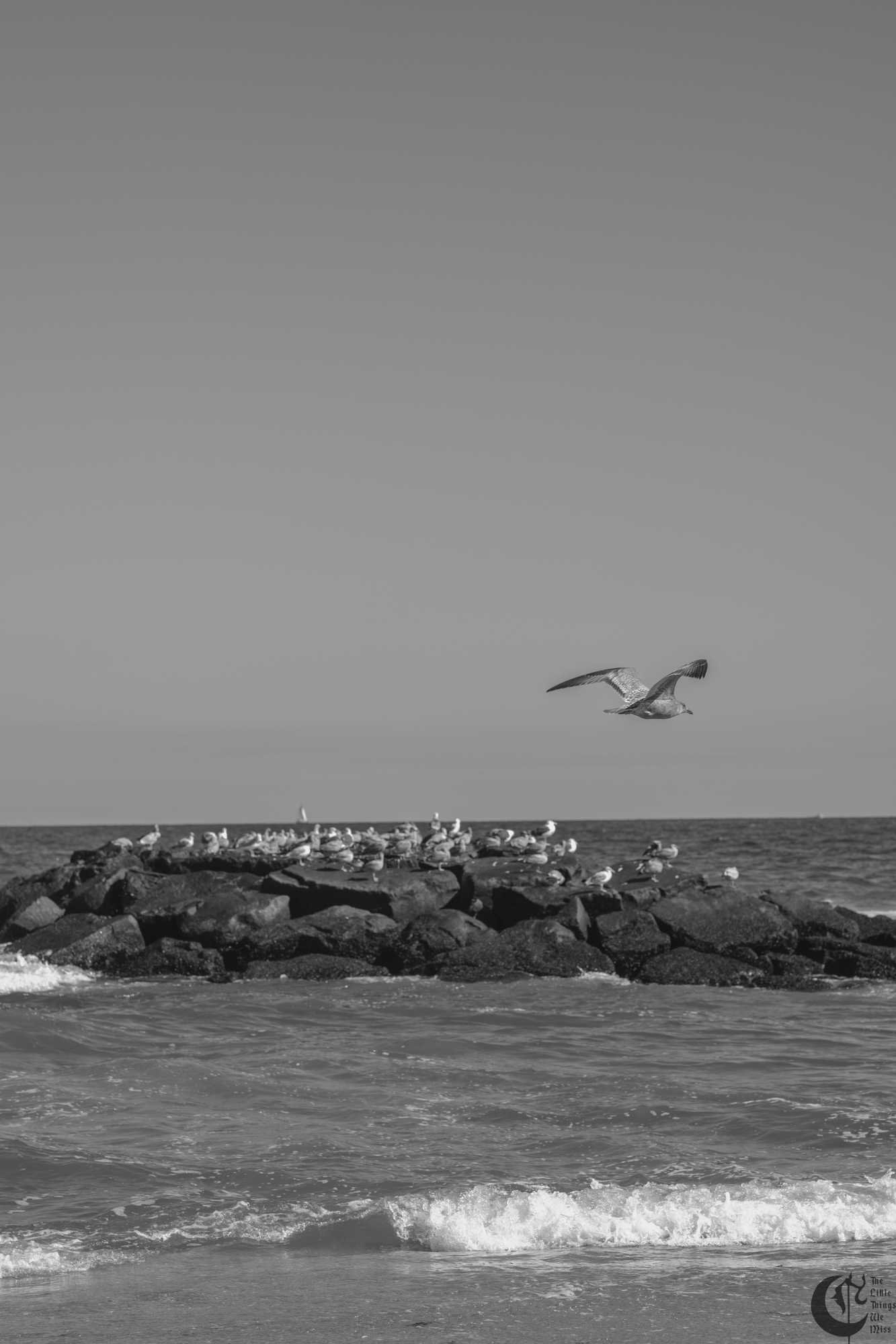 !!_241006_Asbury_Photo_Walk_0580!!