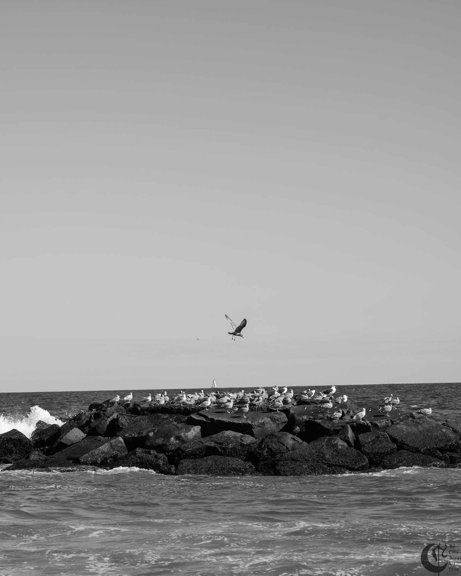 !!_241006_Asbury_Photo_Walk_0601!!
