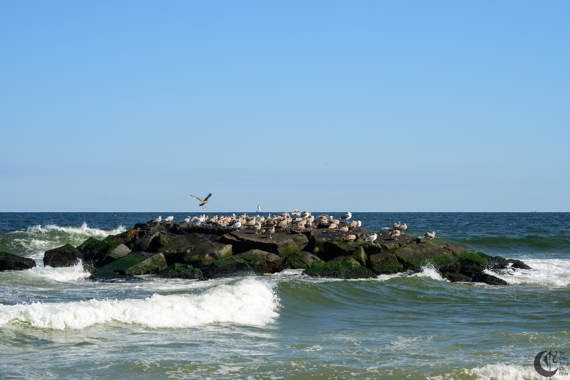 !!_241006_Asbury_Photo_Walk_0608!!