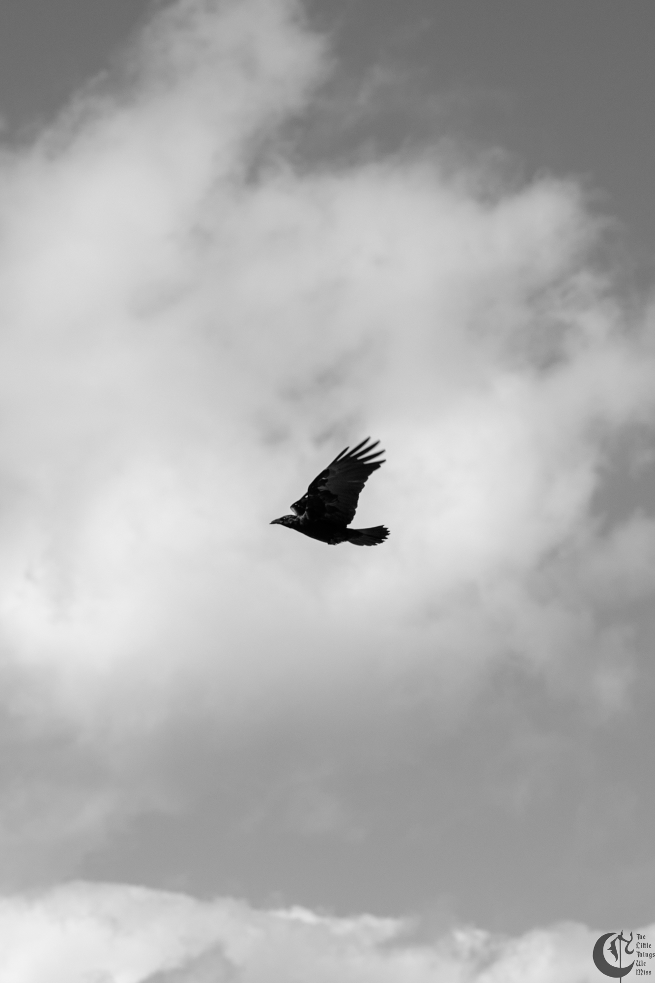 !!_241006_Asbury_Photo_Walk_0651!!