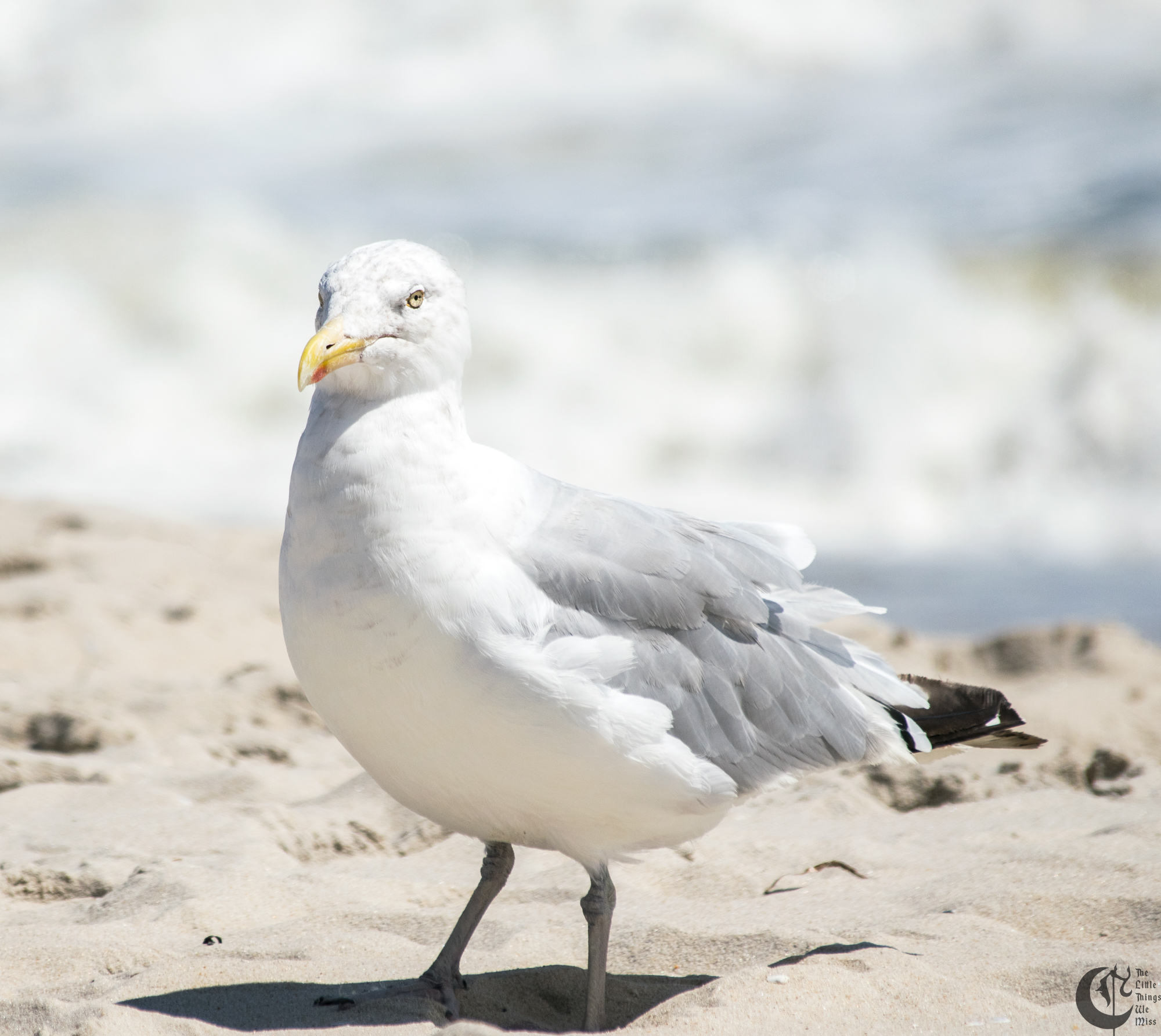 !!_170830_LBI_0201!!
