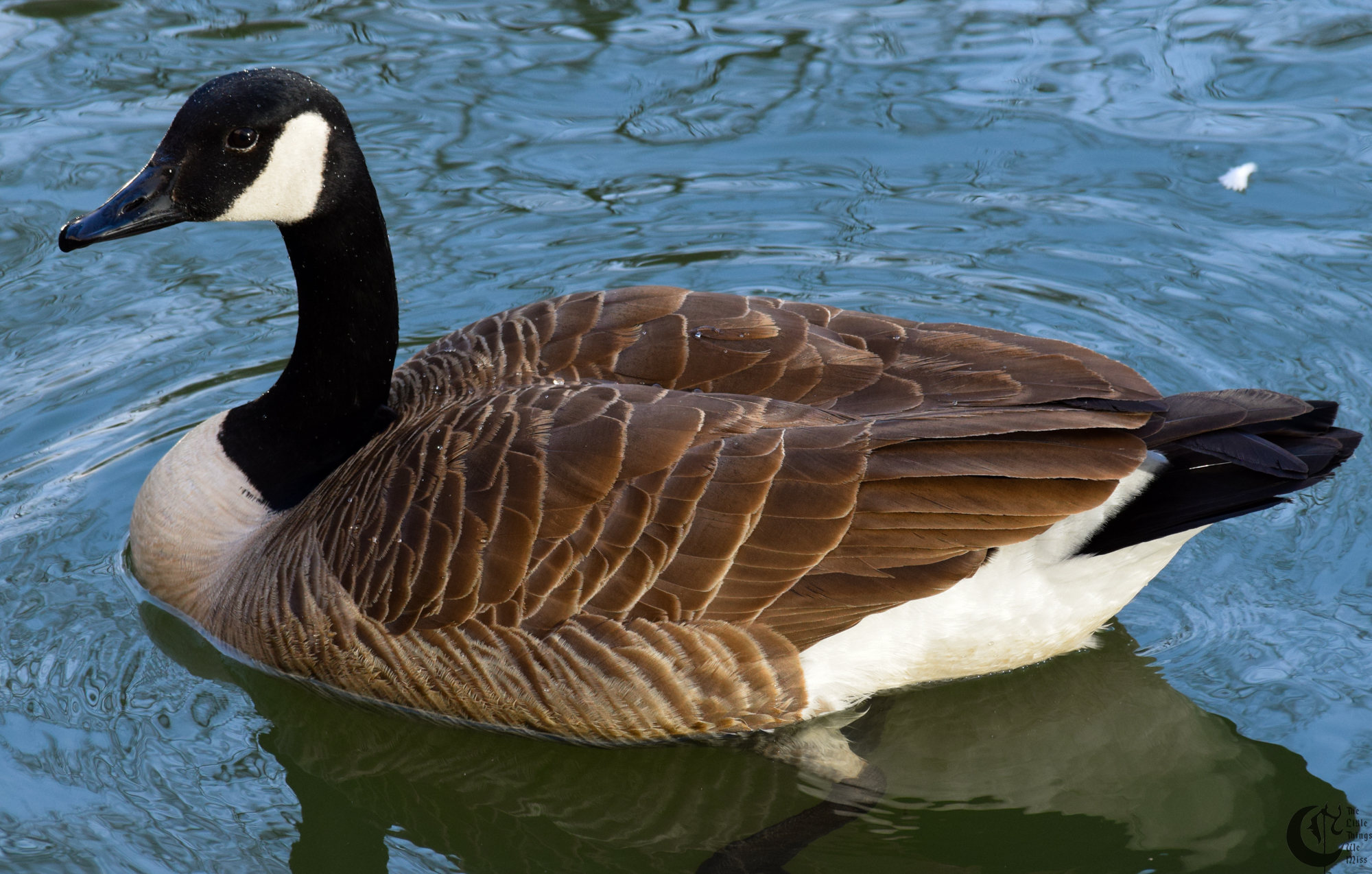 !!_134_-_DSC_6156!!