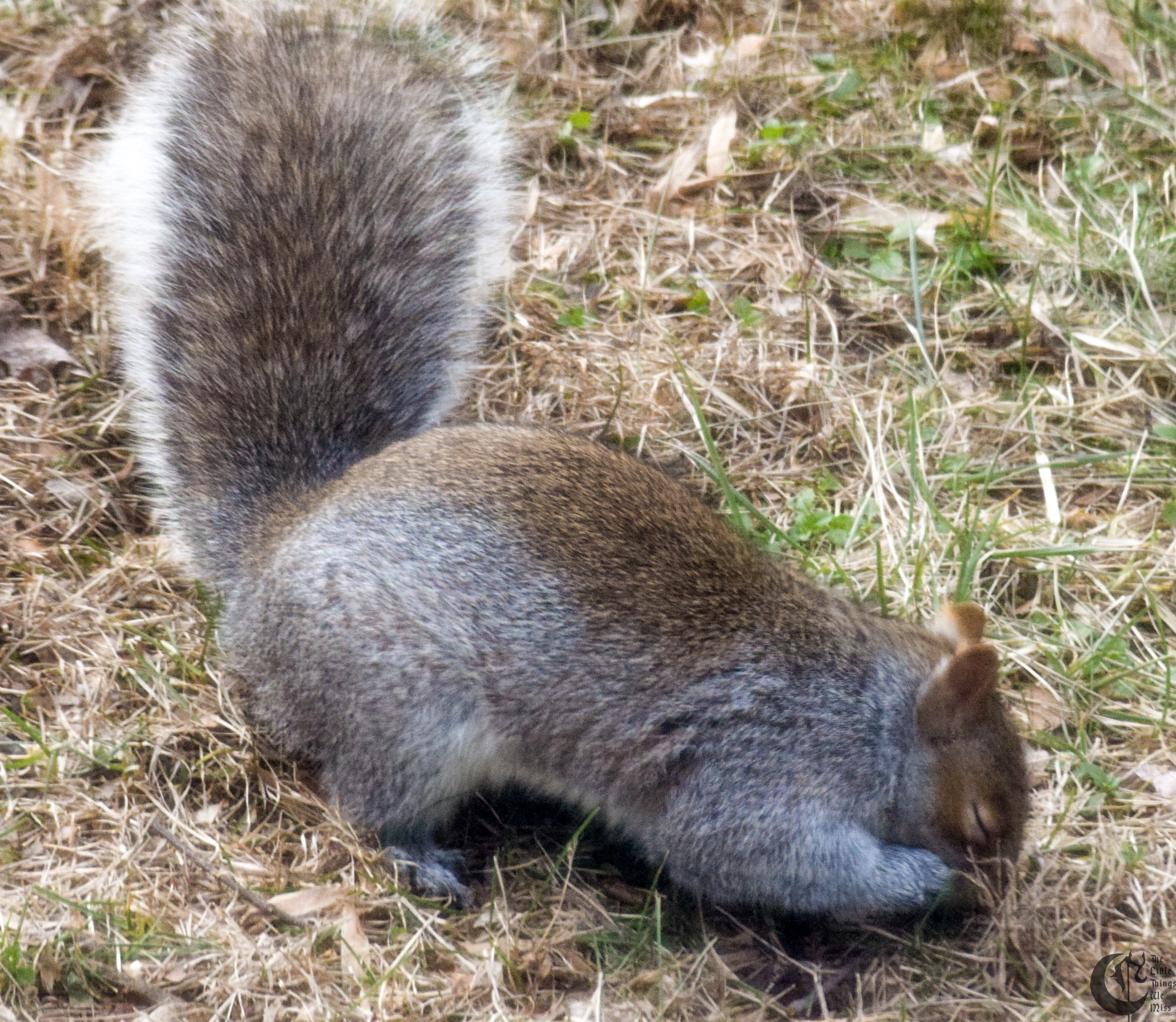 !!_143_-_DSC_4665!!