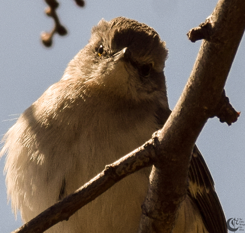 !!_160403_Campus_Walks_0396!!