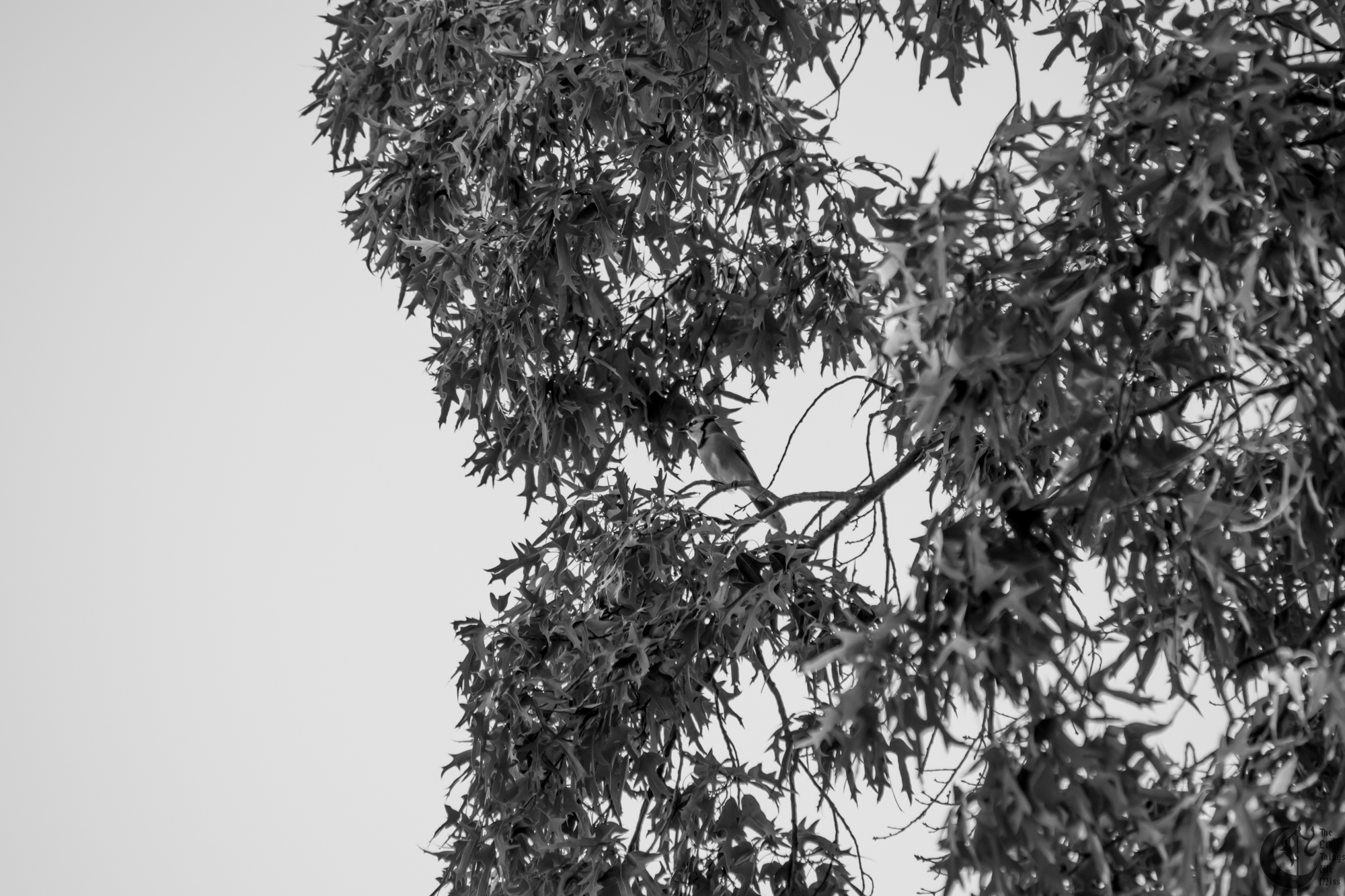 !!_161010_Walking_0052!!