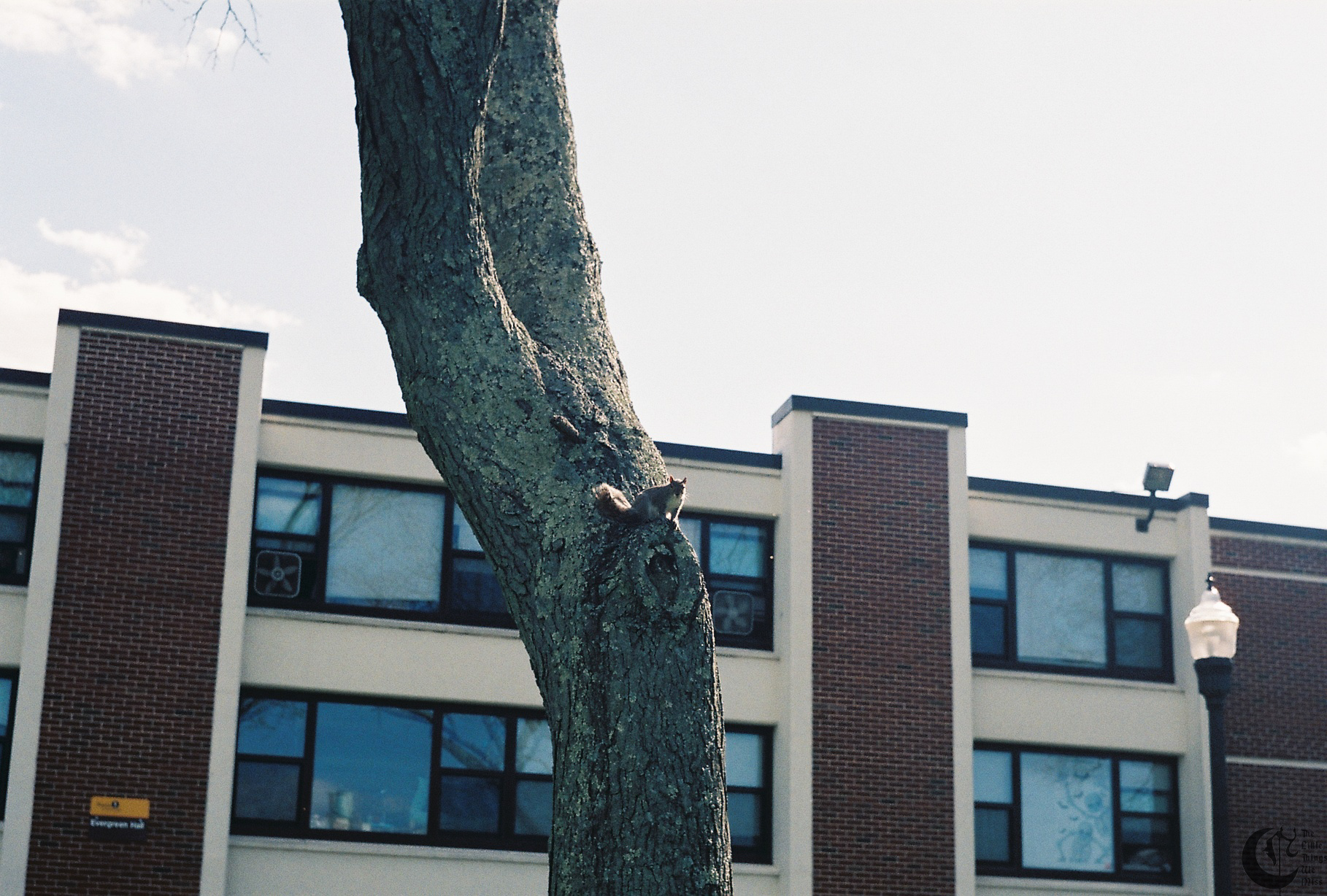 !!_170508_Spring_Campus_0002!!