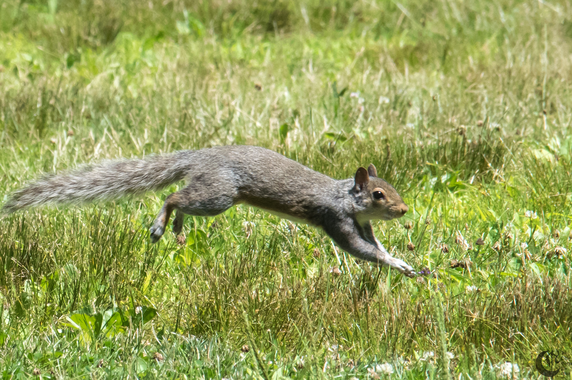 !!_170709_Flybys_0097!!