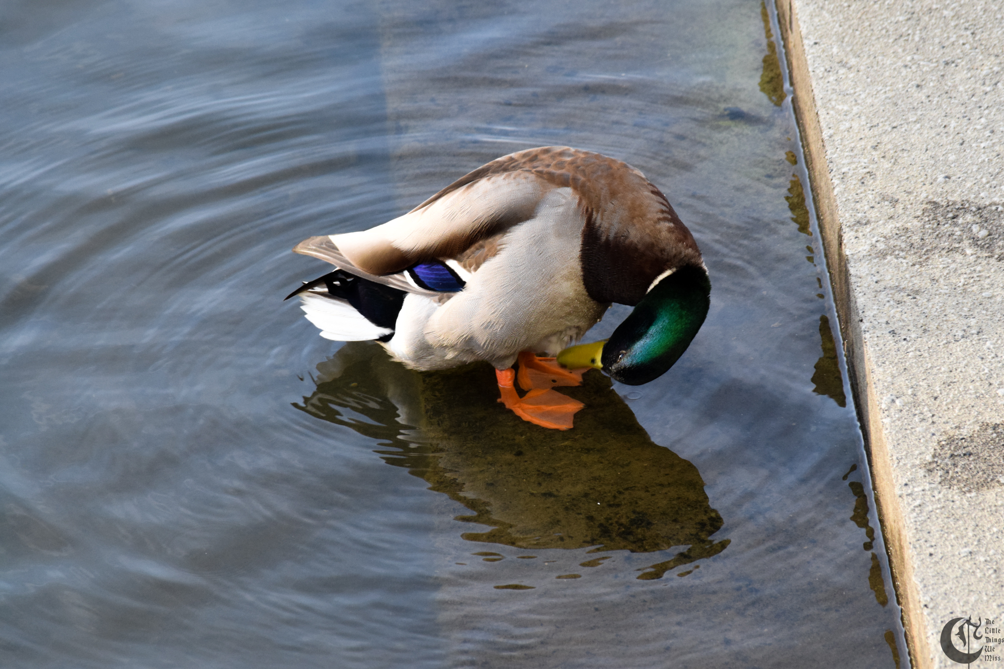 !!_301_-_DSC_6324!!