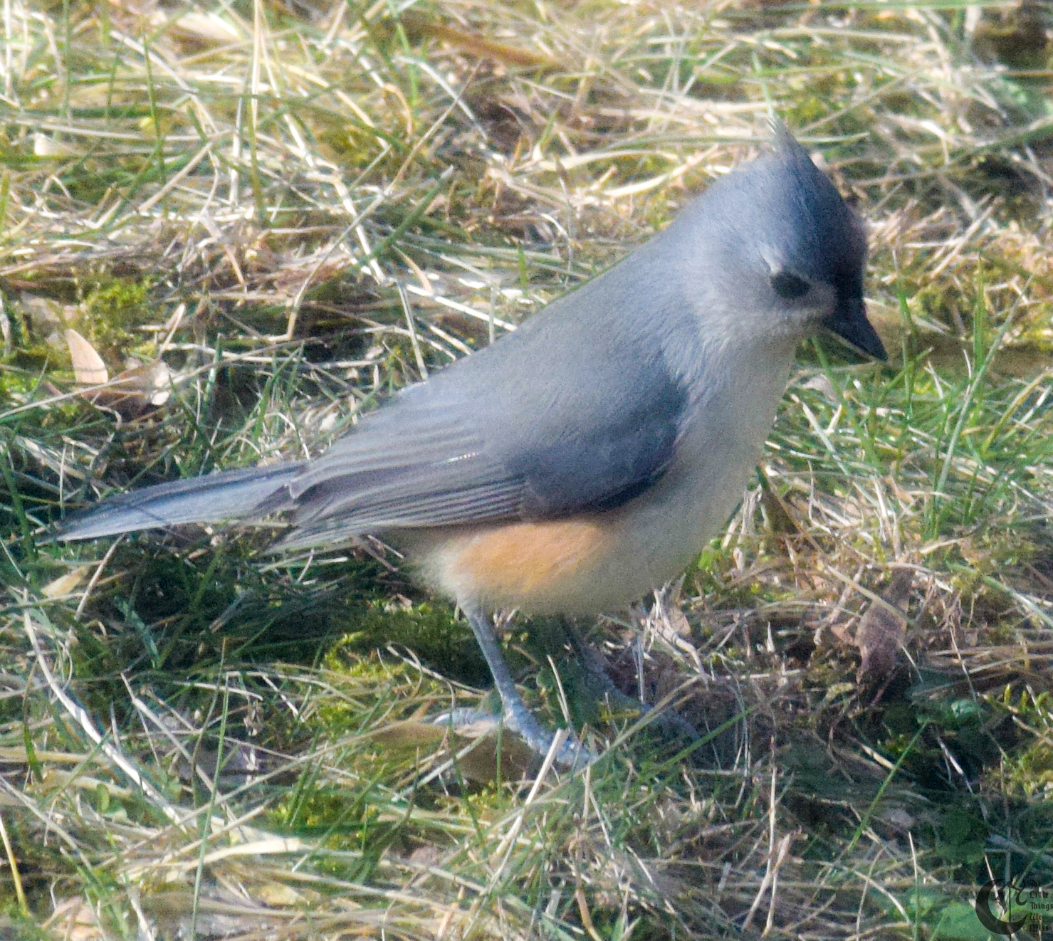 !!_57_-_DSC_4575!!