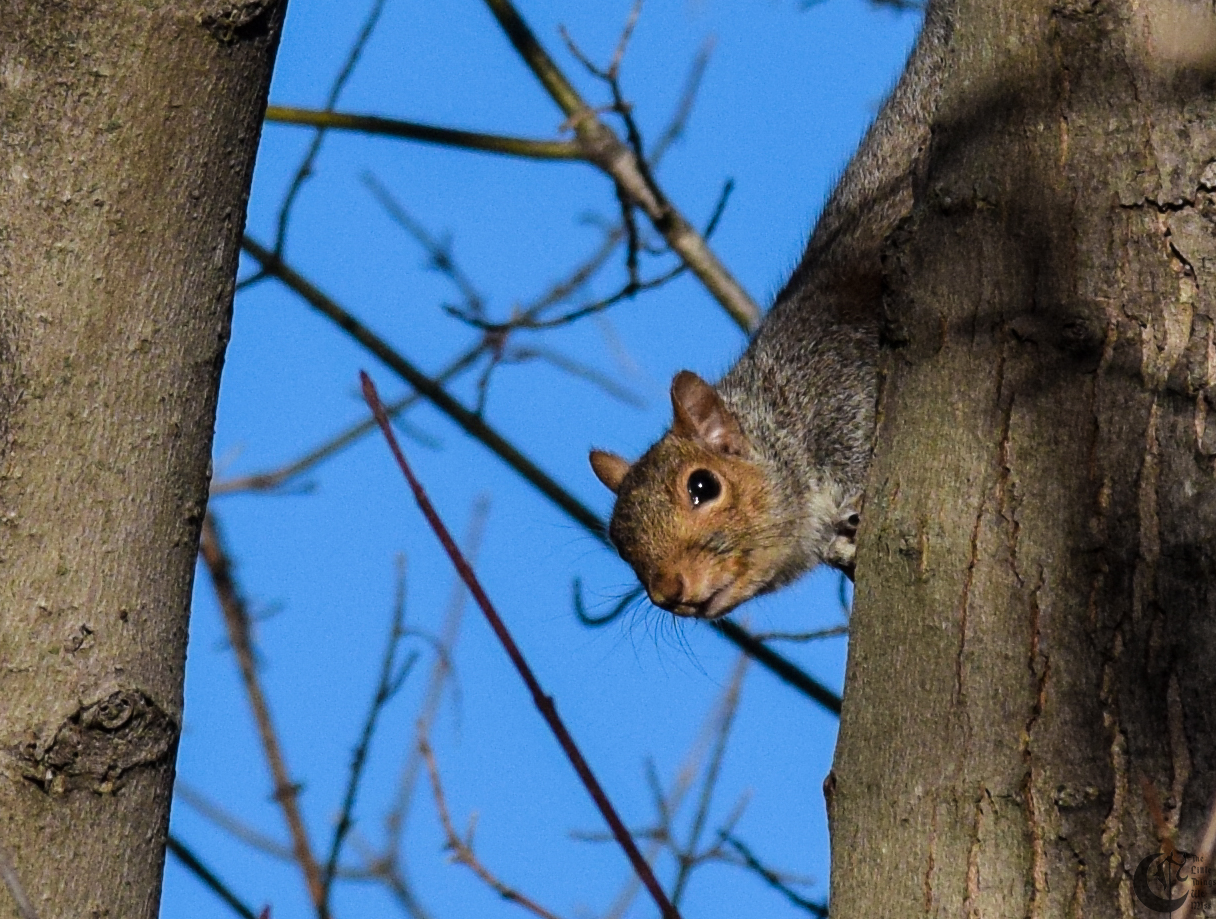 !!_784_-_DSC_5680!!