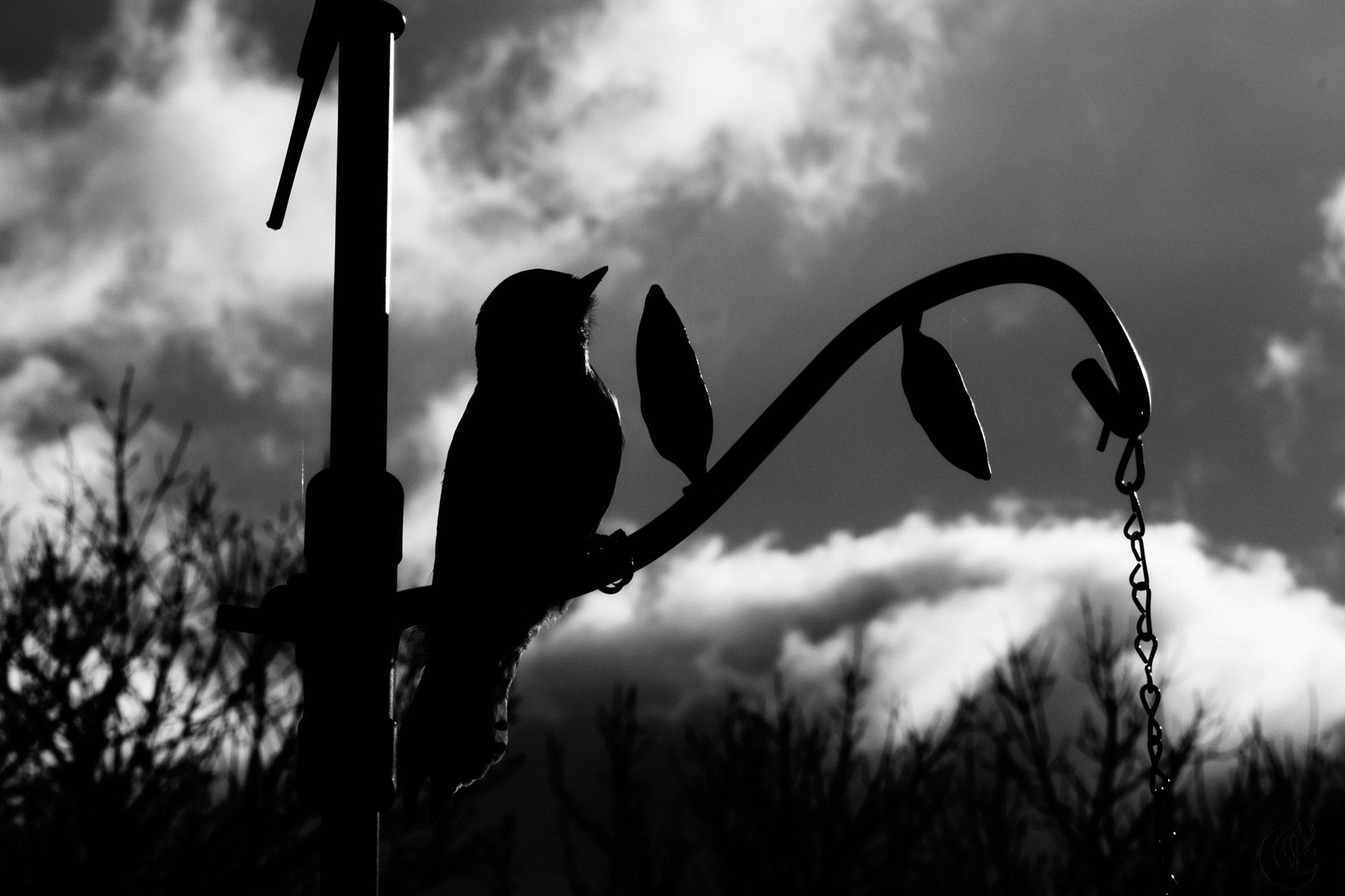 !!_220422_Woodpecker_0032!!